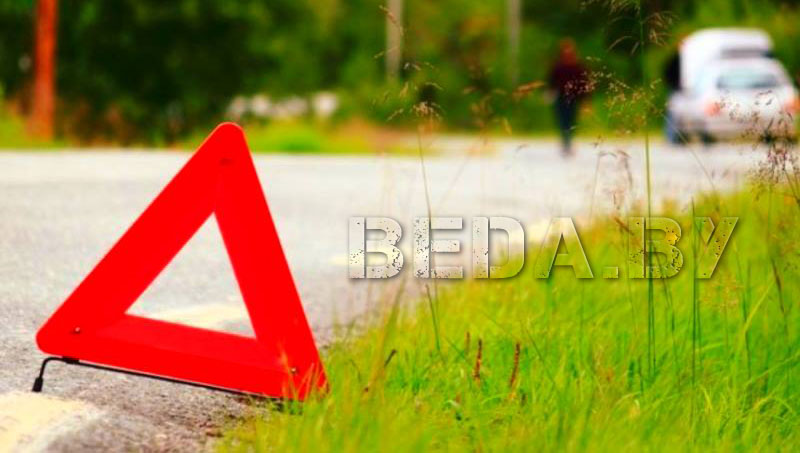 Под колёсами Audi Q7 погиб работник лесхоза
